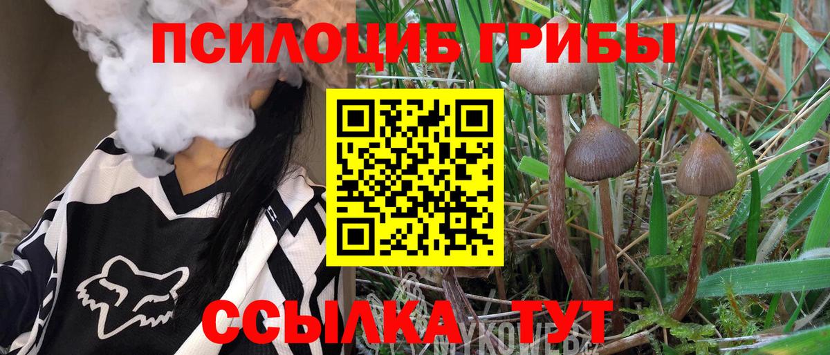 Псилоцибиновые грибы мухоморы  Галлюциногенные грибы Cubensis  Каменск-Уральский  Вход с VPN 