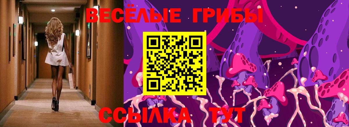 Галлюциногенные грибы мицелий Каменск-Уральский